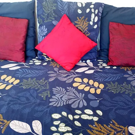 Pansiyon Cosy *